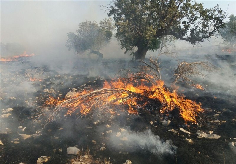 آتش‌سوزی بیش از ۹ هزار مترمربع از مناطق جنگلی ۴ شهرستان گیلان